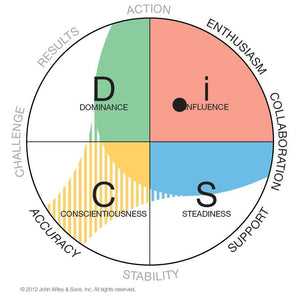 DiSC-Profiles-How-My-Graph-Became-a-Dot