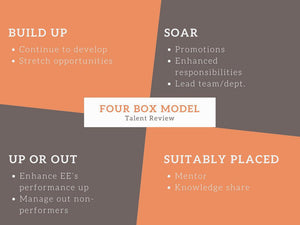 DiSC-Profiles-Rethinking-Talent-Reviews